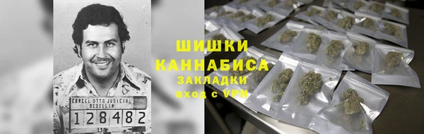 2c-b Новозыбков