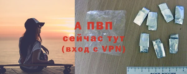2c-b Новозыбков