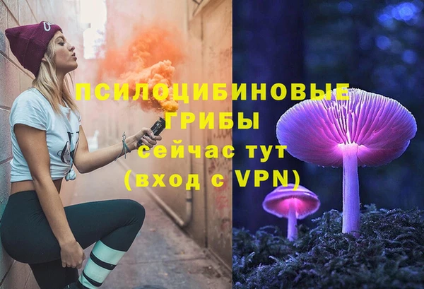 2c-b Новозыбков