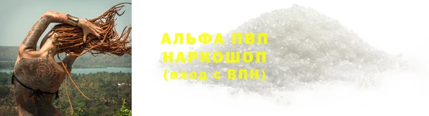 2c-b Новозыбков