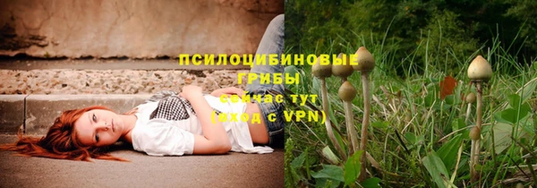 2c-b Новозыбков